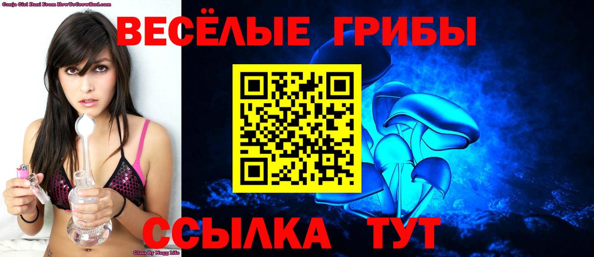 Старая Купавна  Псилоцибиновые грибы ЛСД  Вход с VPN 
